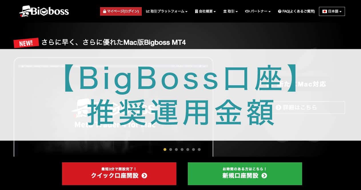 【BigBoss口座】推奨運用金額